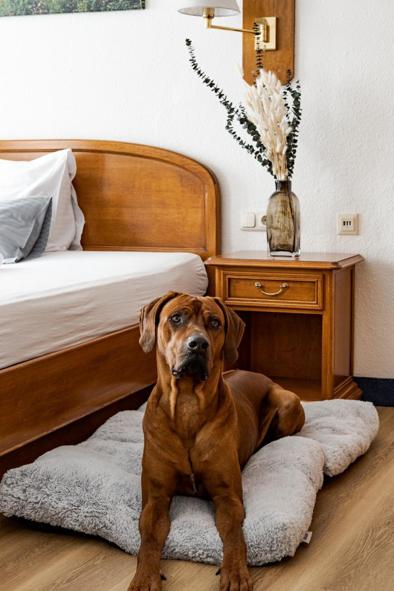 Hotel Goldener Hirsch Kaufbeuren Extérieur photo